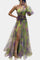 Danyzhel Elegant Maxi Dress in Green