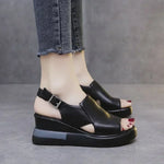 Carolyn Comfort Sandals in Black-Adjustable
