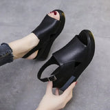 Carolyn Comfort Sandals