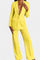 Blazer and High-Waisted Pants Ensemble in Yellow